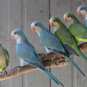 Meet your Posher, Eva